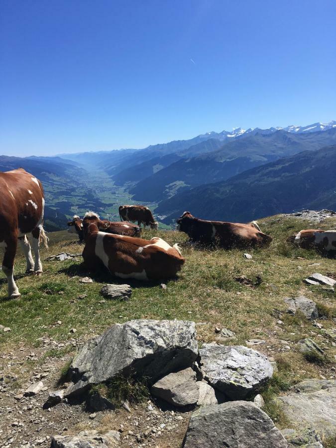 Apartamento Haus Seifriedsberger Bramberg am Wildkogel Exterior foto
